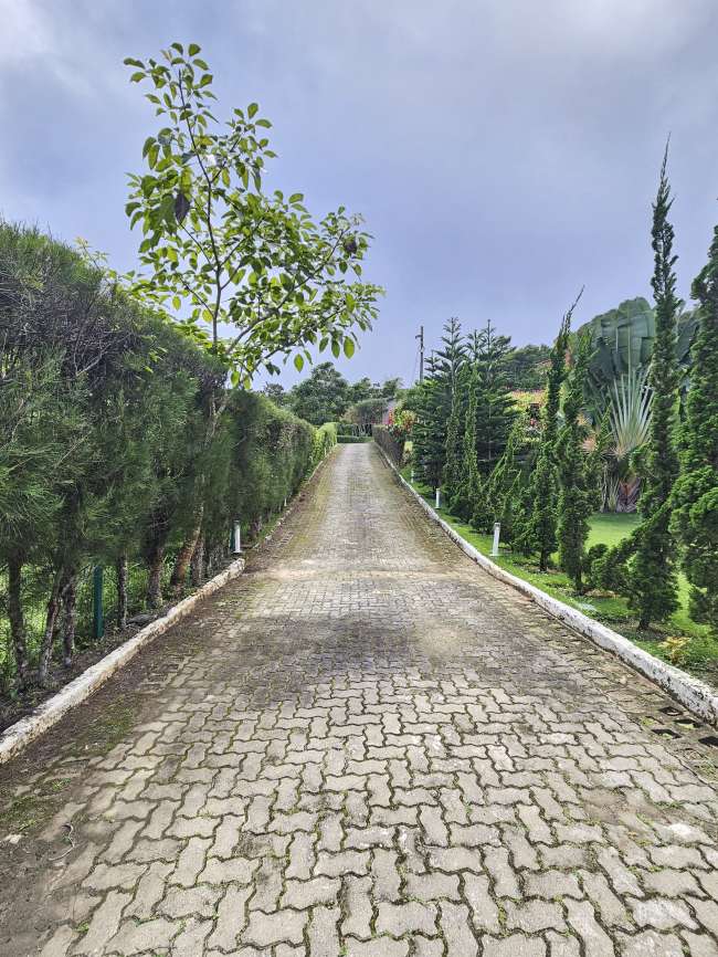 RODOVIA CE 365 CASA, 6