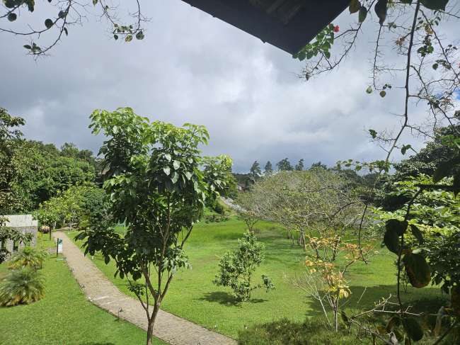 RODOVIA CE 365 CASA, 6