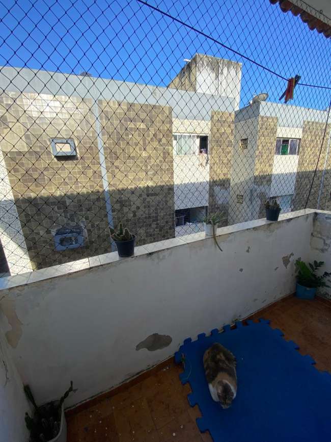 R. JAIME BENEVOLO, 1431 APTO. 302 BL. A